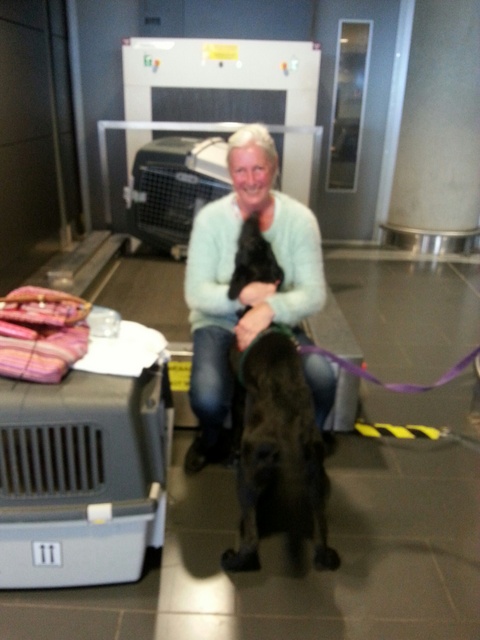 1 20151129 125801 resized