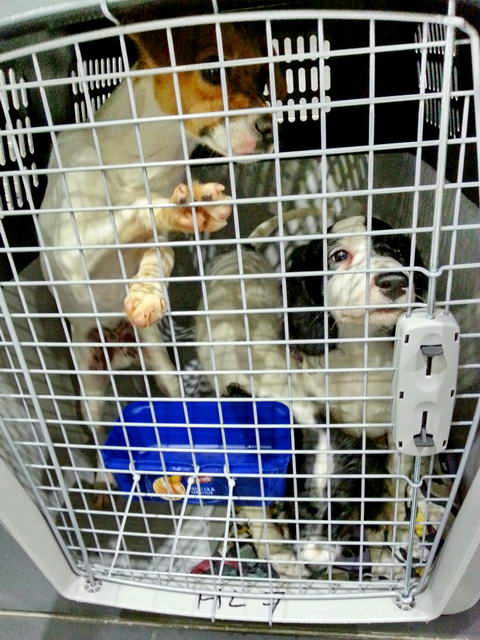 20151201 032324 resized