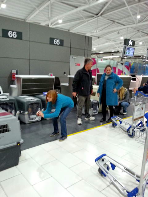 20151201 032348 resized