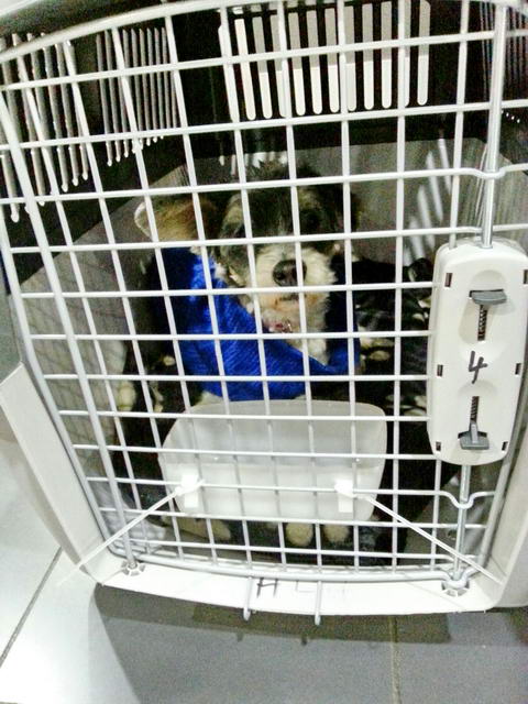 20151201 035157 resized