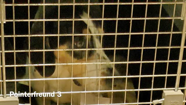 Ankunft in Hamburg am 1.12.2015