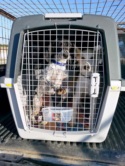 20151004 080932 resized