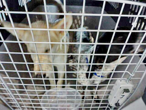 received 1507653539550355 resized