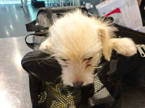 received 1507653776216998 resized