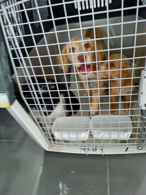 20150805 130611 resized