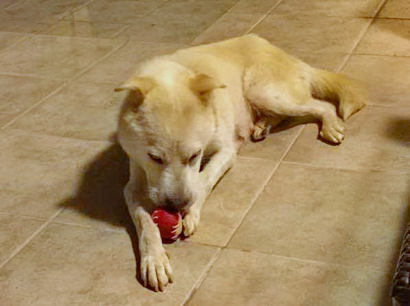 1 11825635 709288525843072 1695506056351305955 n