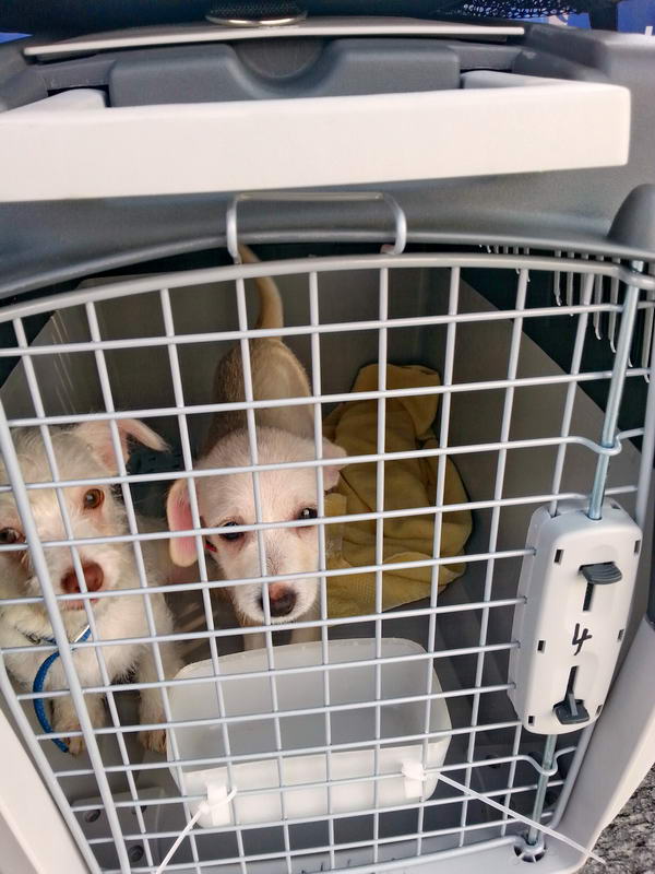 20151108 121102 resized