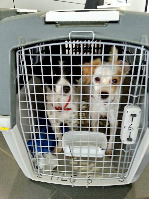 20151108 124233 resized