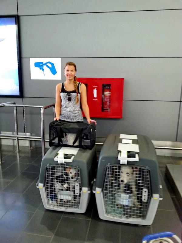 20151108 124717 resized