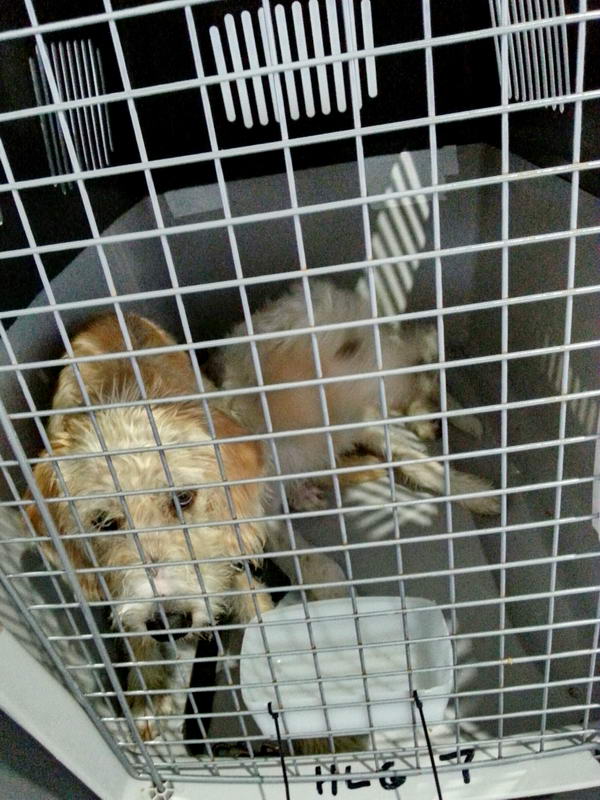 20151108 151713 resized