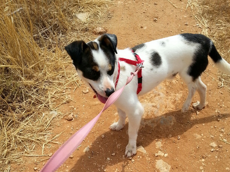 20150510 114005 resized 1