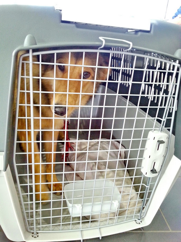 20150510 141550 resized