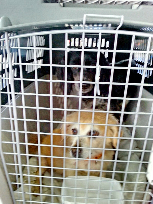 20150510 141554 resized