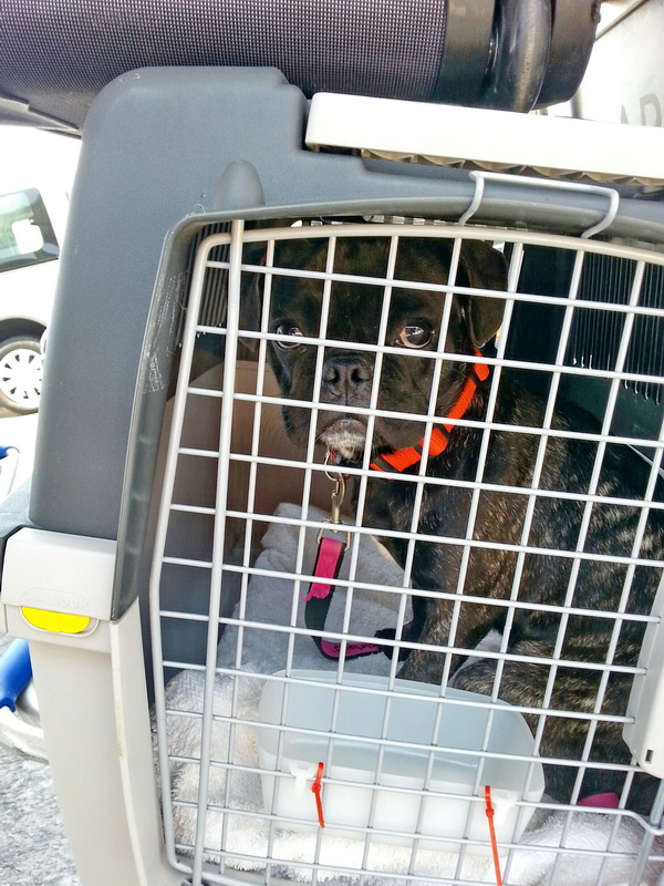 20150612 130110 resized