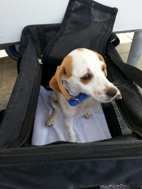 1 20150913 133820 resized