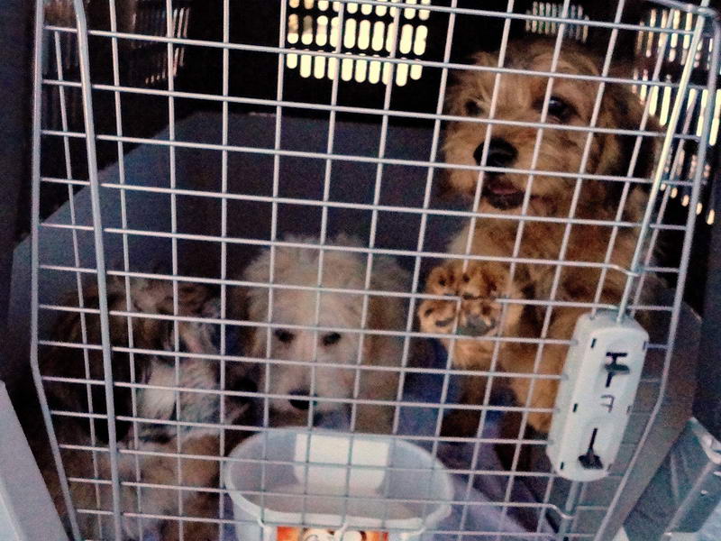 12248517 1522571878058521 1945755944 o