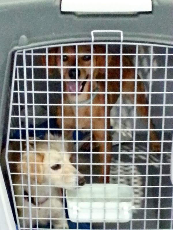 20151115 151416 resized