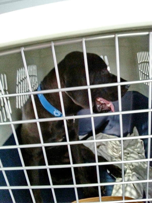 20151115 151433 resized