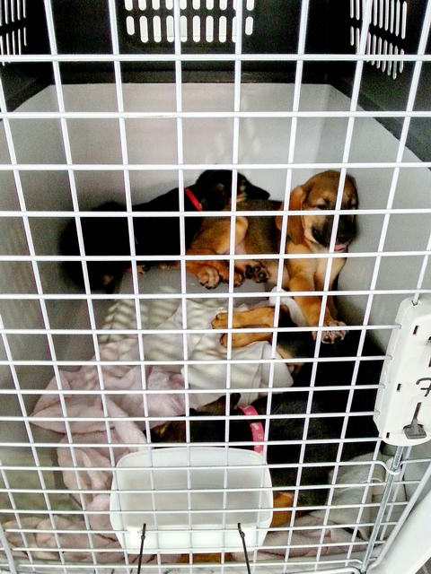 20150916 133120 resized