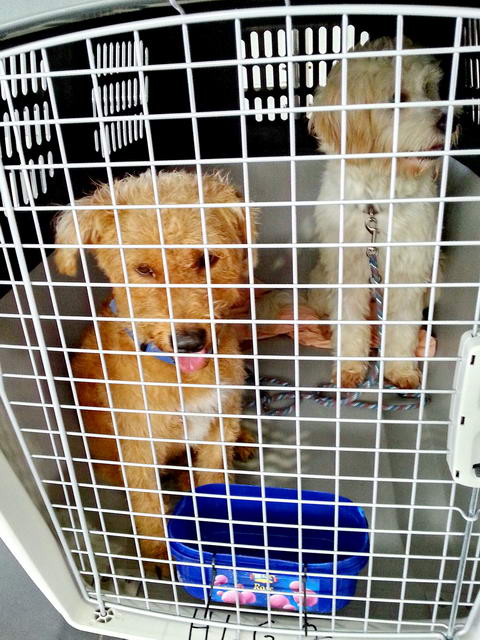 20150916 133126 resized