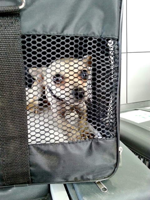 20150916 133135 resized