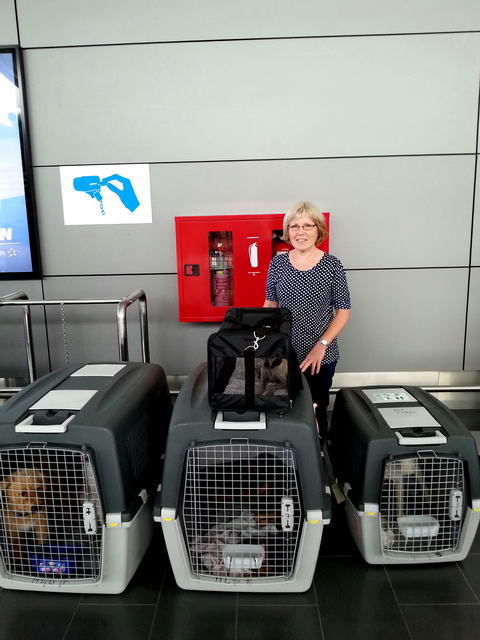 20150916 133243 resized