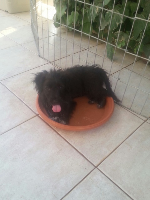 1 20150716 185833 resized