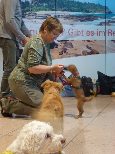 1 cid 1f019fb8 94b4 4175 88ca a2191279454dicloud