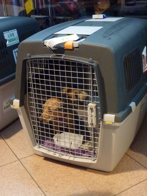 1 cid 22a3fe05 f247 43ec 9817 1979e3d70abbicloud