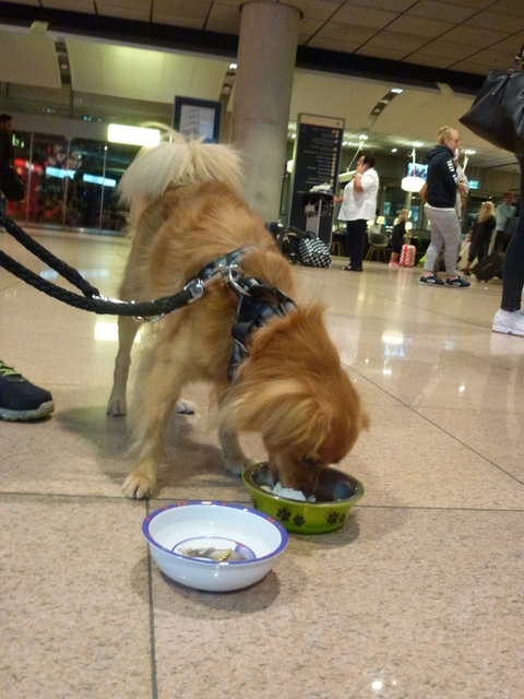 1 cid 3cf0e929 5424 43bd b47a 5c66e7c81999icloud