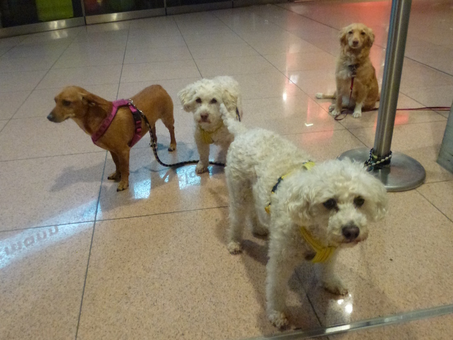 1 cid b87898d8 c130 4d11 a756 b3d86e8ec708icloud