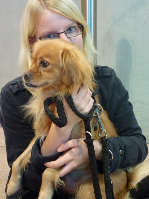 1 cid d70d3823 ba16 4fda b66c 9de3231f7a75icloud