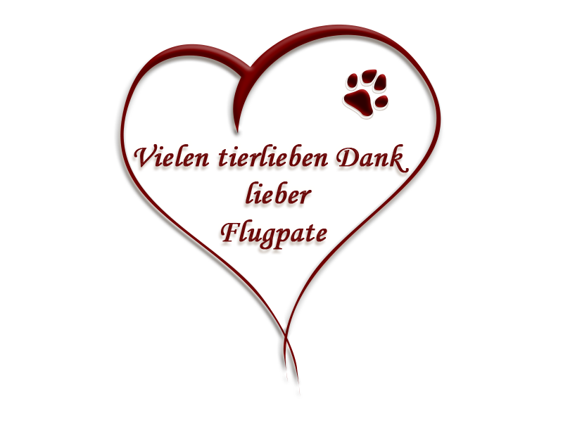 flightcompanionthanks