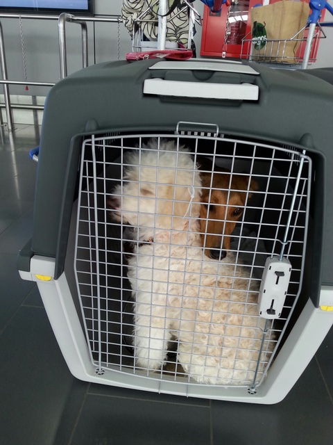 1 20150719 135738 resized