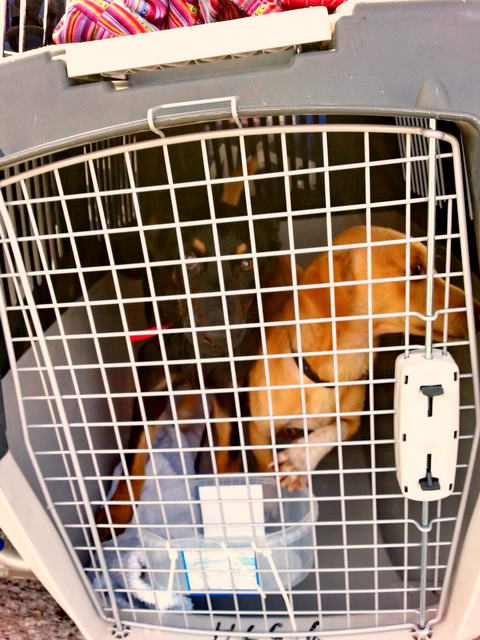 20150920 091633 resized