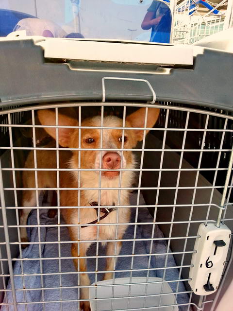 20150920 091640 resized