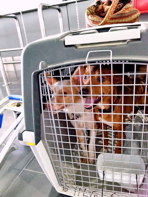 20150920 092234 resized