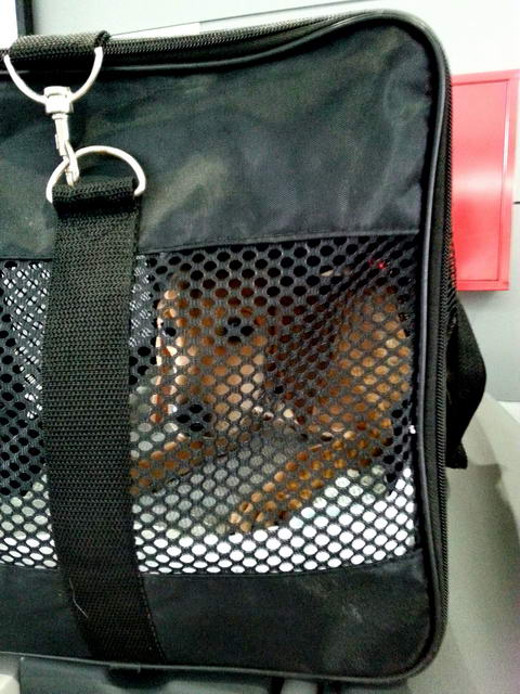 20150920 092247 resized