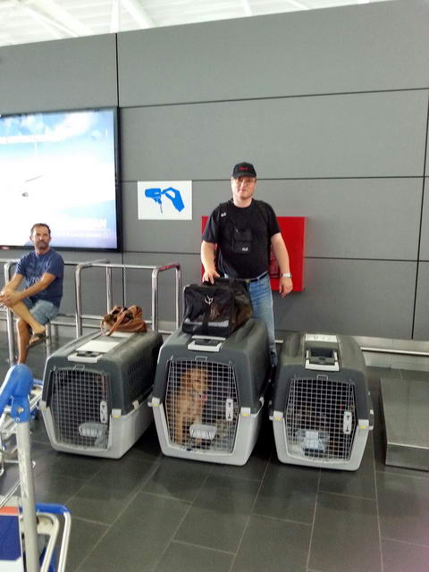 20150920 092617 resized