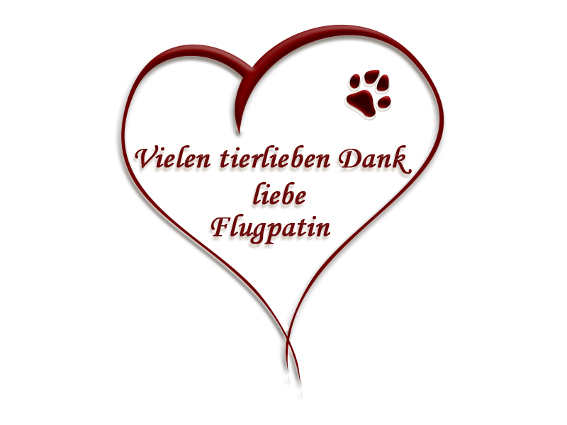 flightcompanionthanks800p