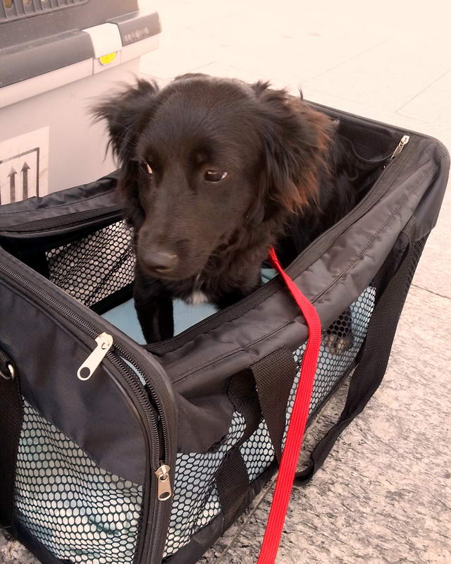 20150622 124654 resized