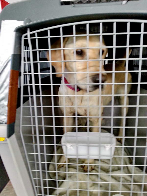 20151122 120631 resized