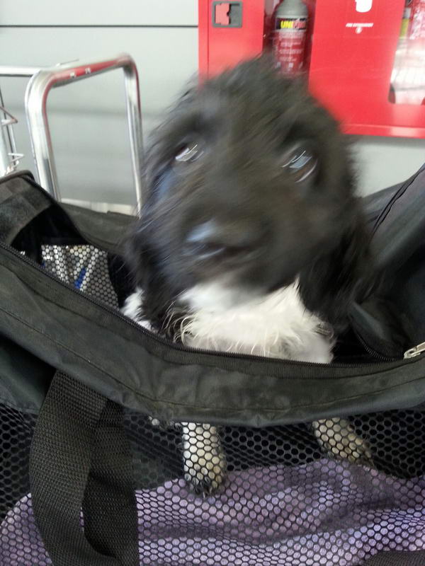 20151122 120816 resized