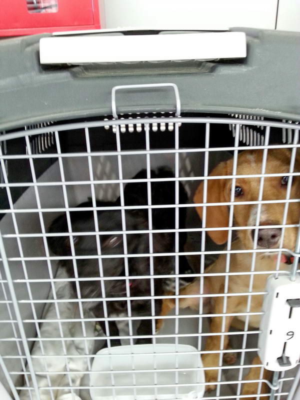 20151122 120859 resized