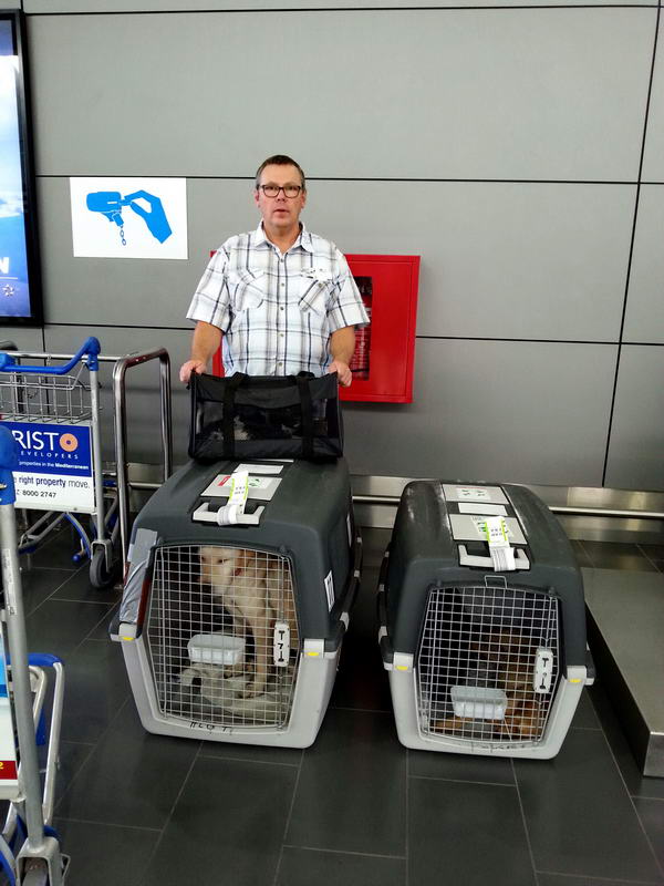 20151122 123322 resized