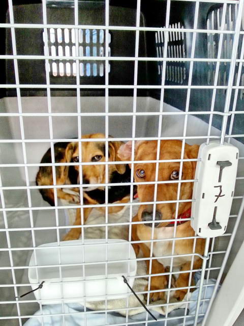 20151223 132959 resized