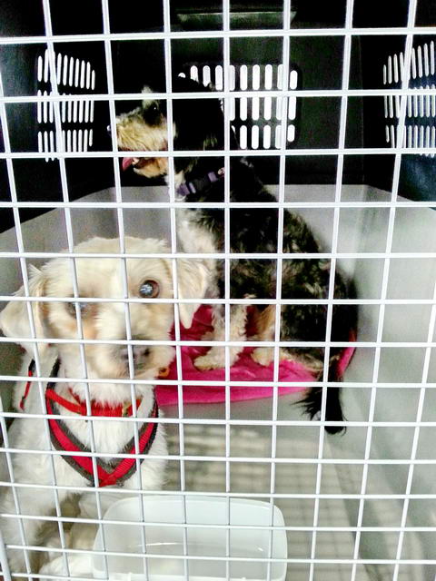 20151223 133016 resized