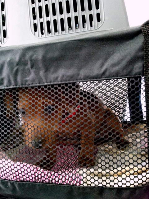 20151223 133029 resized