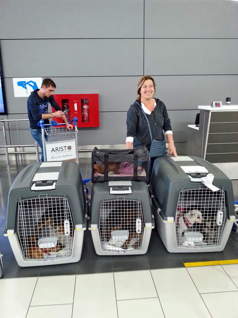 20151223 135358 resized