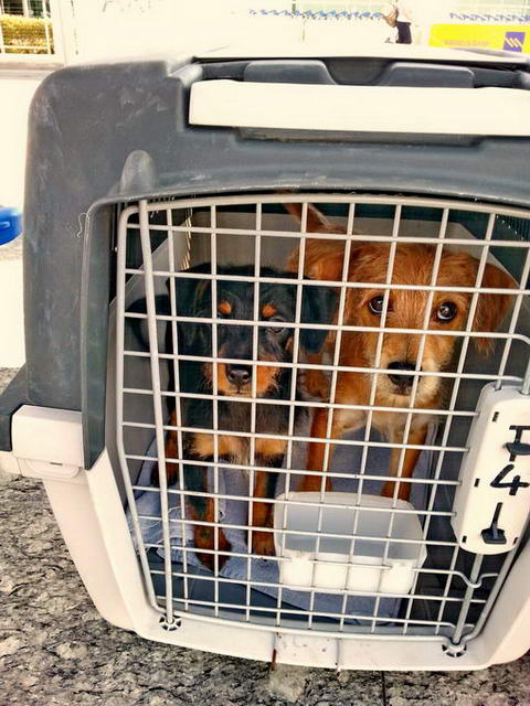 20151127 130321 resized